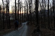 98 Scendiamo sulla stradetta in faggeta